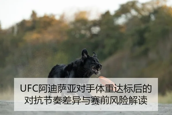 a-di-sa-ya-dui-shou-ti-zhong-da-biao-hou-de-dui-kang-jie-zou-cha-yi-yu-sai-qian-feng-xian-jie-du-2-165.jpg